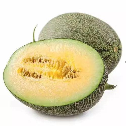 只知道吃瓜甜,揭秘吃瓜的甜蜜奥秘