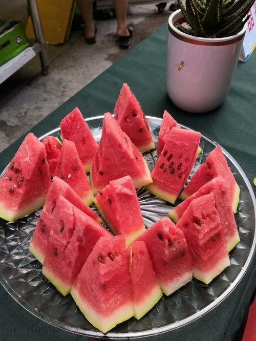 吃瓜达人赛,一场舌尖上的狂欢盛宴