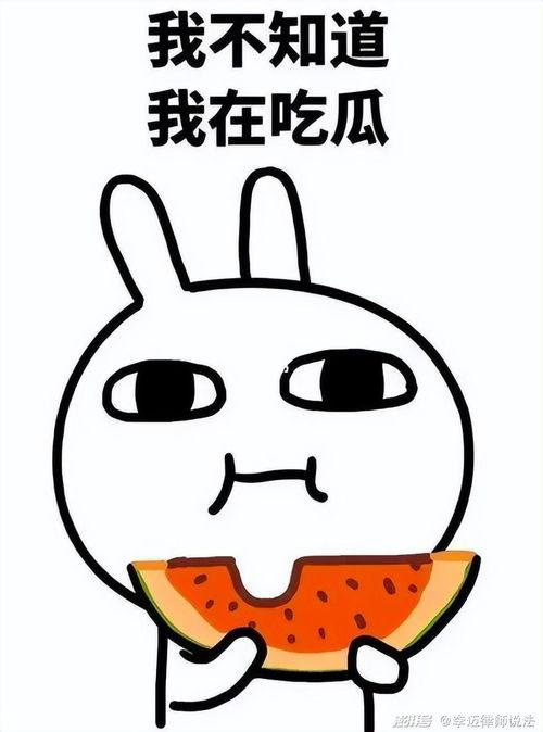 吃拼音瓜怎么写