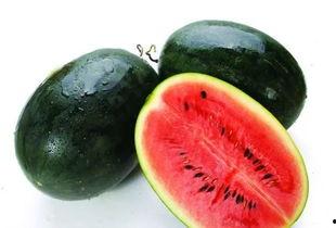 吃瓜558665,揭秘吃瓜558665背后的故事与真相