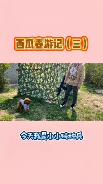 带你吃瓜玩吃鸡,带你领略“吃瓜玩吃鸡”的独特魅力