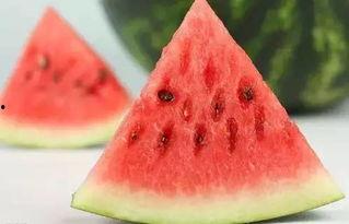 fruit酱吃瓜,探索水果酱与新鲜瓜果的完美邂逅