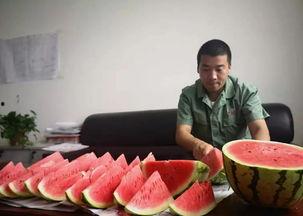 吃瓜真幸福,见证时代变迁的旁观者