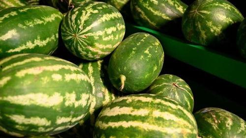 长垣吃瓜事件分享,一场网络热议背后的真相与反思