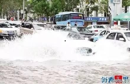 吃瓜厦门鼓浪屿,厦门美食与历史瓜香四溢之旅
