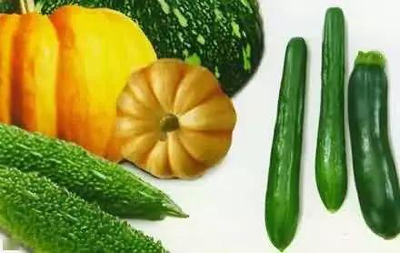 奇葩亲戚旅游吃瓜,一场吃瓜之旅的欢乐盛宴