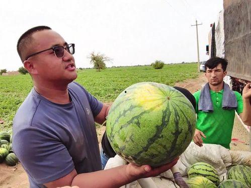 奇葩亲戚旅游吃瓜,一场吃瓜之旅的欢乐盛宴