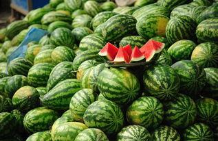 吃瓜要准备什么,解锁美味瓜果的准备工作全攻略