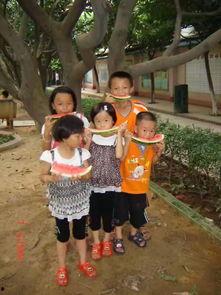 罗罗布吃瓜观众