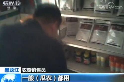 快递吃瓜视频大全,揭秘快递员日常趣事大盘点