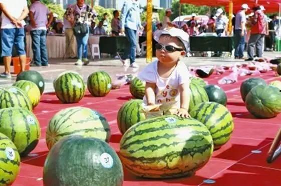 有哪些吃瓜网站