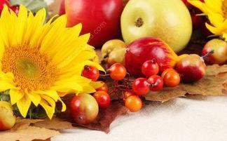 秋天吃兰瓜好吗,兰瓜，秋季养生佳品