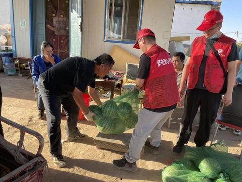 快乐吃瓜小分队,揭秘娱乐圈幕后故事