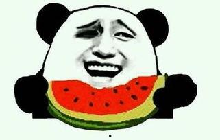 请君吃瓜后续,瓜田李下,爱恨情仇再掀波澜