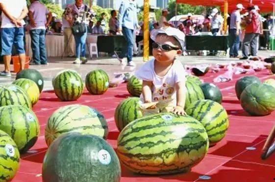 免费吃瓜大赛,免费吃瓜大赛狂欢来袭！