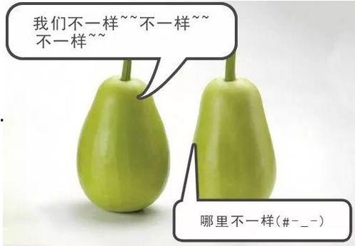 精瓜安怎么吃,轻松掌握美味秘诀