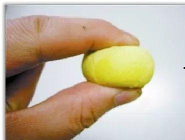 精瓜安怎么吃,轻松掌握美味秘诀