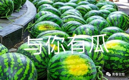 南京吃瓜学校,校园生活趣味横生