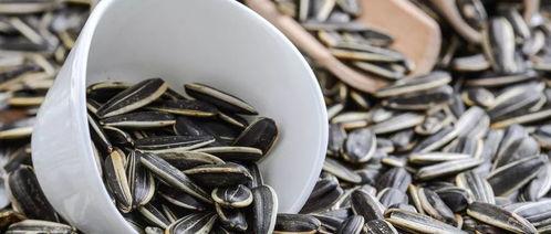 吃瓜就得嗑瓜子,揭秘嗑瓜子的趣味与智慧