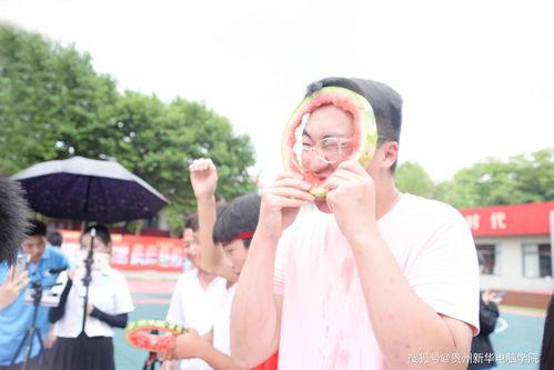 吃瓜职业学校,趣味学习，轻松掌握生活小技巧