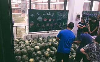 吃瓜职业学校,趣味学习，轻松掌握生活小技巧