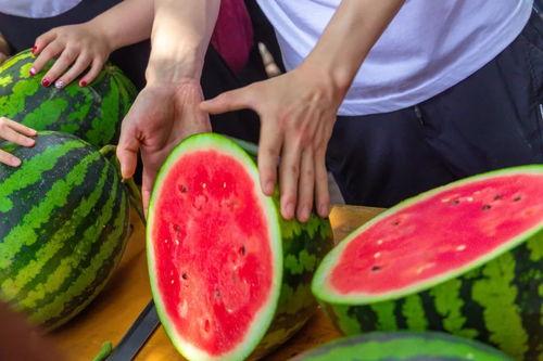 吃瓜职业学校,趣味学习，轻松掌握生活小技巧