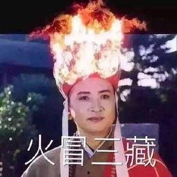 吃瓜文双男主,双男主的甜蜜瓜田情缘