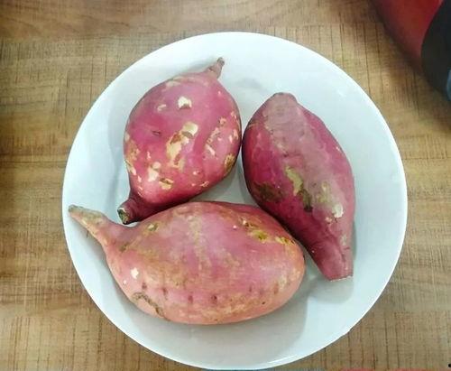 吃红薯可以吃板栗瓜吗,健康搭配的美食探索