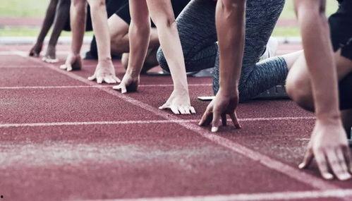 前排吃瓜小屁,揭秘娱乐圈幕后风云