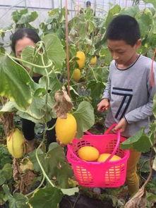 散步吃瓜的群众,街头巷尾的趣味观察