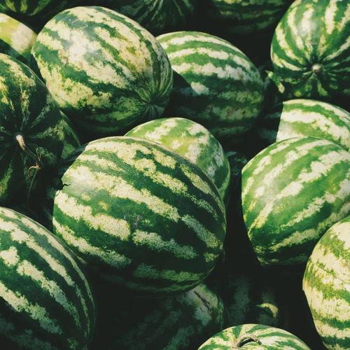 毕业前吃瓜,那些校园里的“瓜”事回顾