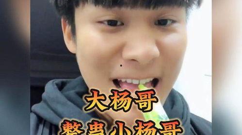 大杨哥吃瓜coco,揭秘娱乐圈幕后故事