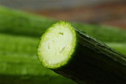 瓜吃瓜菜吃菜,共享健康生活