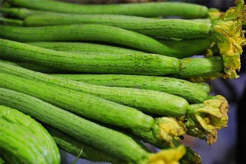 嫩绞瓜怎么吃,探索家常美味新选择