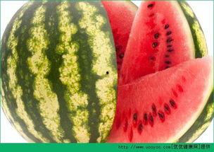 常路每日吃瓜,揭秘娱乐圈幕后故事