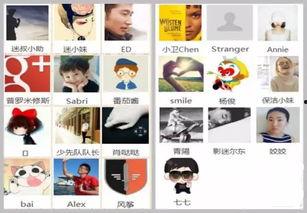 评论热评吃瓜,揭秘网络热议背后的真相与笑料