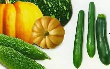 吃生瓜有什么功效,揭秘吃生瓜的神奇功效